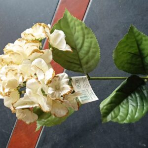 gilded edge cream hydrangea