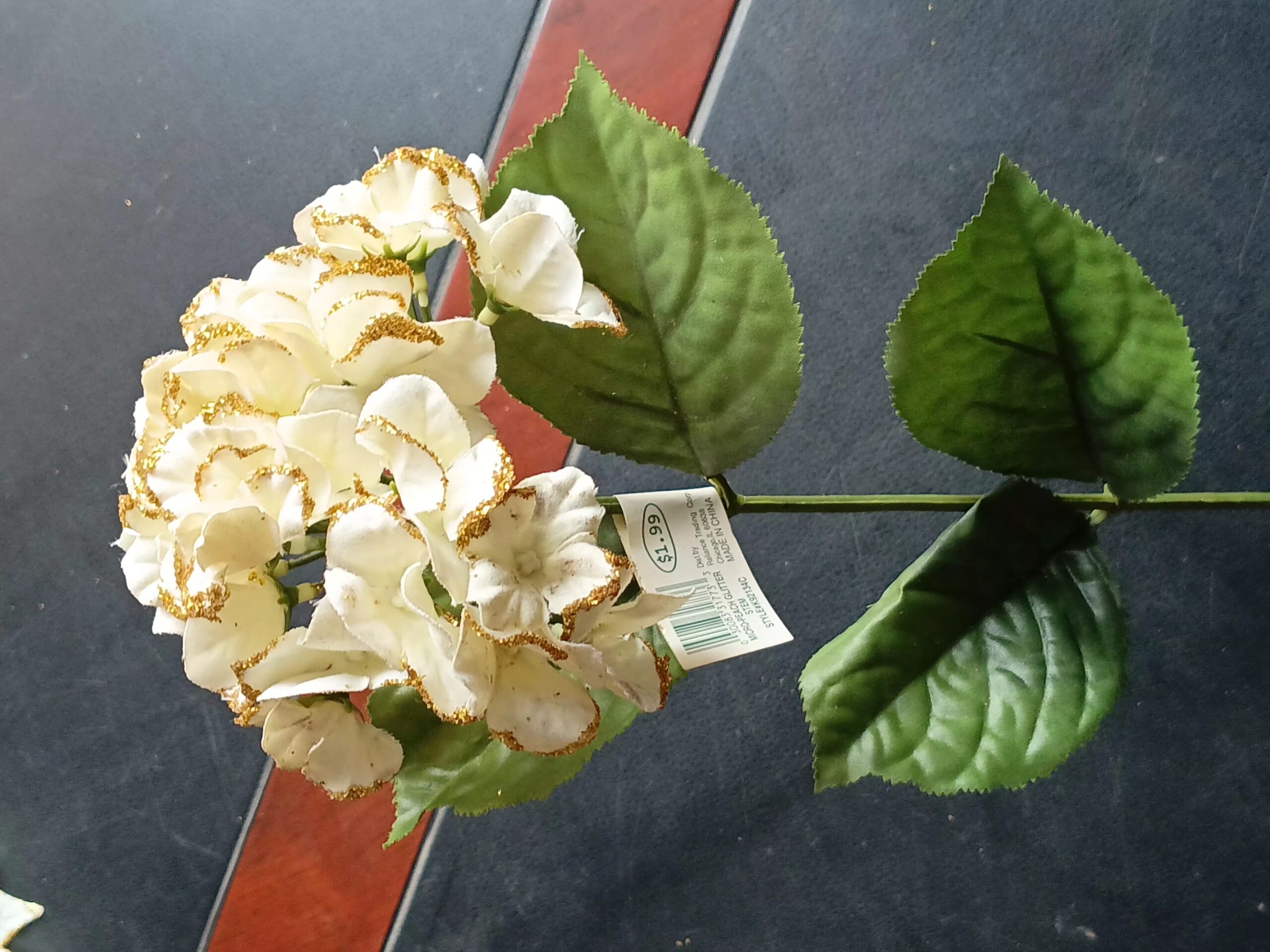 gilded edge cream hydrangea gilded edge cream hydrangea