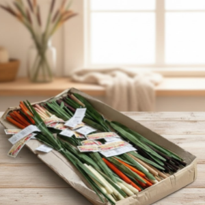 Forever Beautiful Cattail Reed Stems.