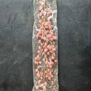 Connections Ivy-Bordered Designed Paper